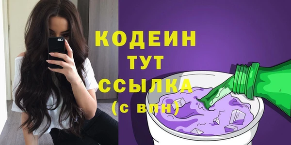 индика Кодинск