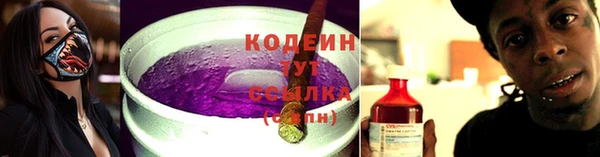 индика Кодинск