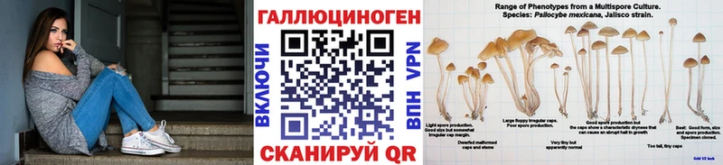 Купить  Выкса  Галлюциногенные грибы мухоморы 