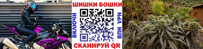 Купить где  Выкса  Канабис AK-47 
